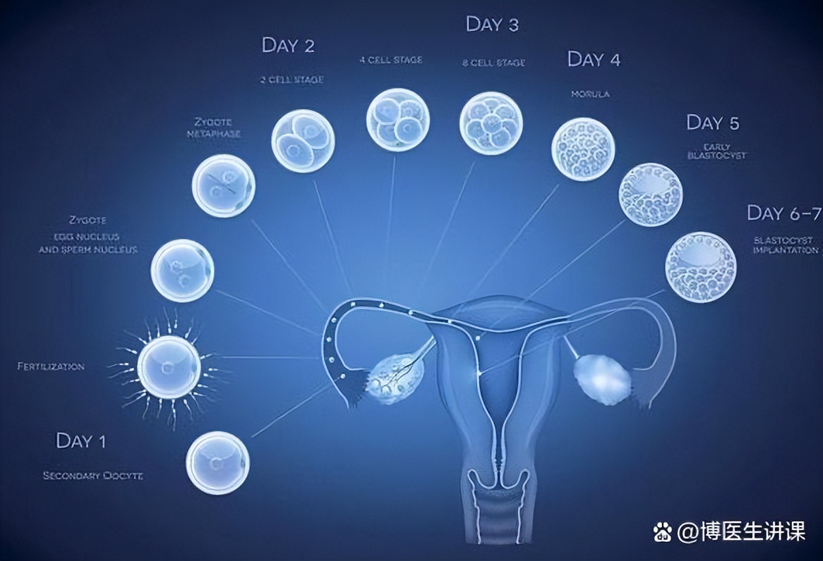 子宫有炎症的女人，身体或出现“2痛1多”，别硬撑到宫颈癌