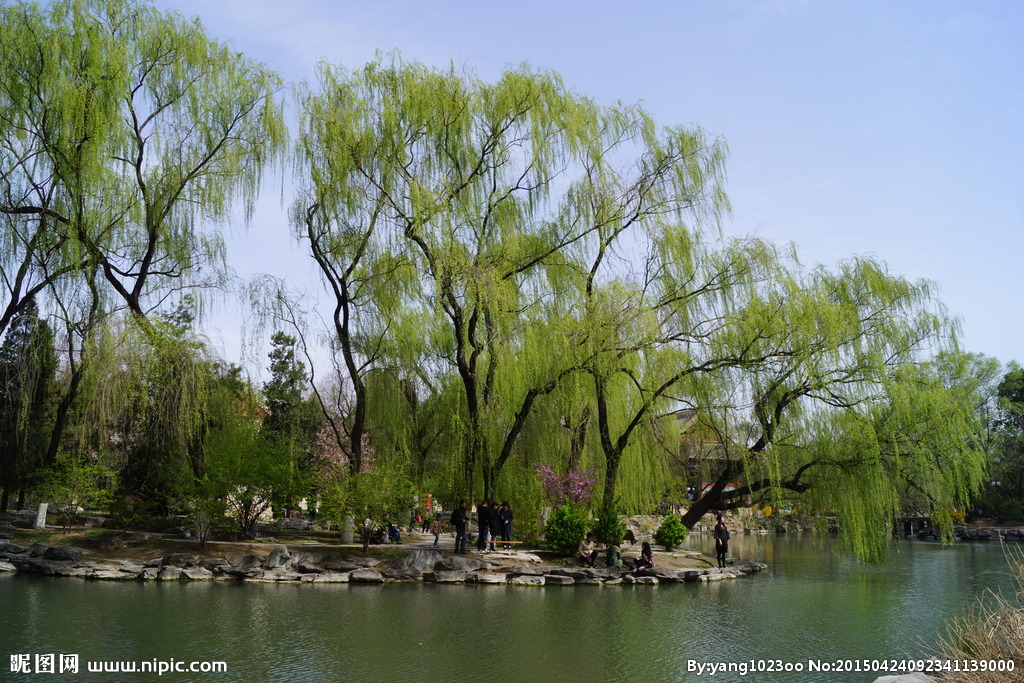诗词里的绝美春天诗句,30首绝美春日诗句范文