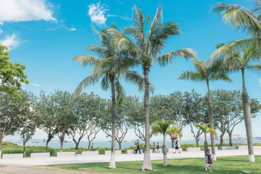 广东亲子游度假温泉酒店,广东省海边酒店亲子自驾游推荐