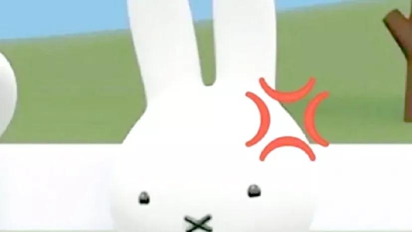 挤不出东西的脂肪粒怎么去掉,鼻子脂肪粒挤不出来还挤吗