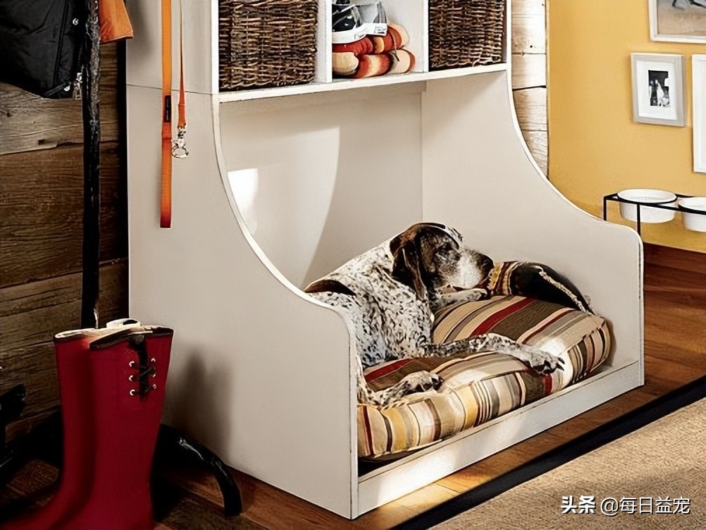 狗狗长时间躺地上，容易得肘关节囊肿，狗子：还不快给老子准备床