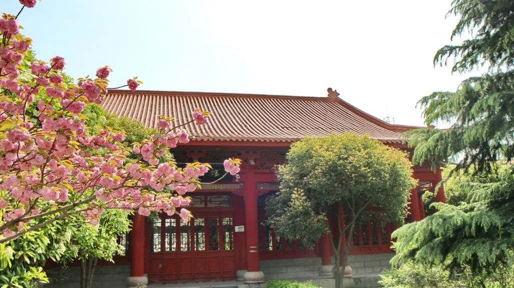 有没有专业武术培训的地方,江桥武术培训