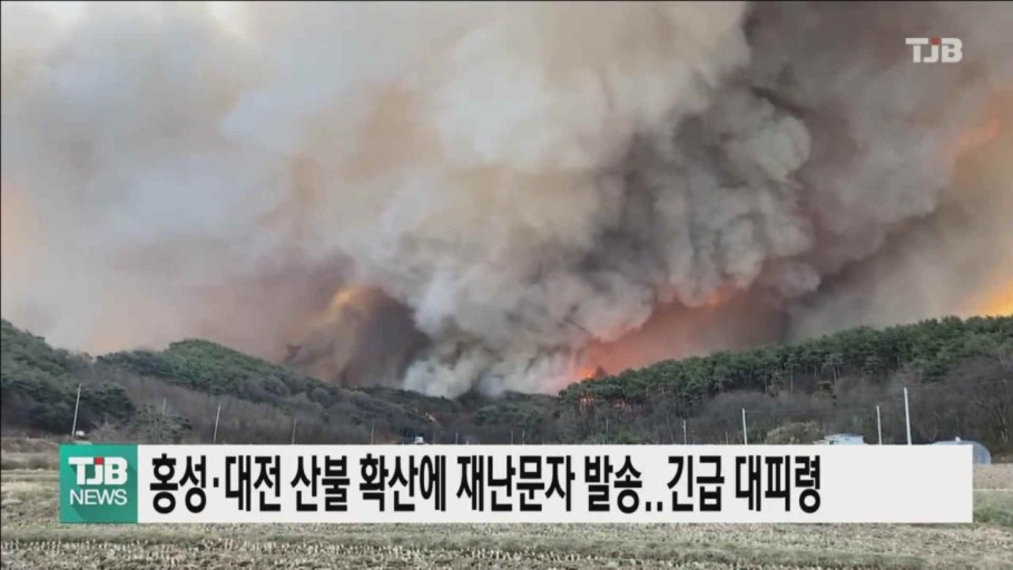 火海被烧,韩国山火过火面积