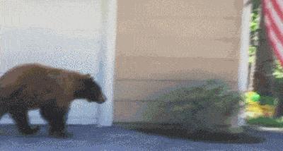 神回复P图,神回复自己的颜值