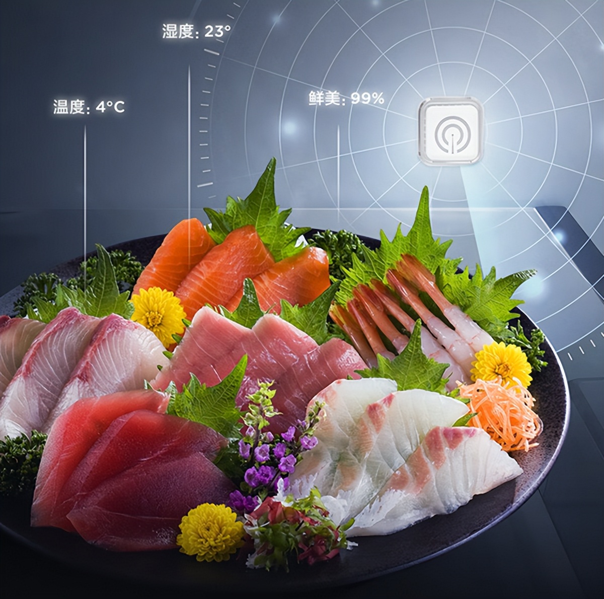 tcl冰箱q10最大容量,tcl格物冰箱q10助您居家囤鲜