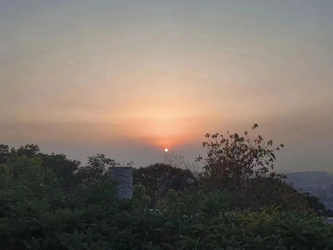 当代年轻人只想搞钱,全民搞钱