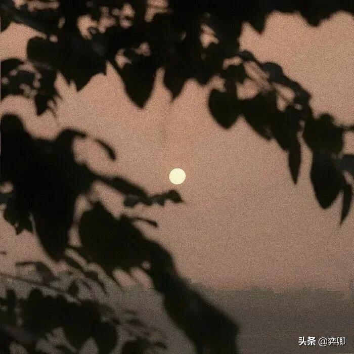 简单不失气质的游戏网名微信昵称,最好听的2字的微信网名女生