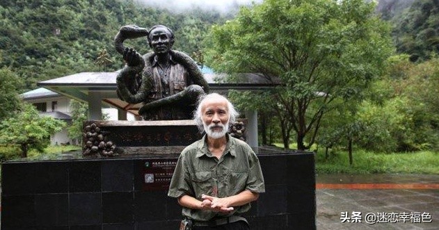 蛇博士完整版,蛇博士烙铁头