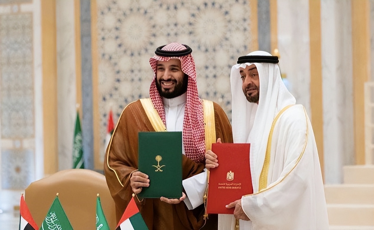 海湾“正主”：阿联酋新总统扎耶德，中东乱局的幕后大佬