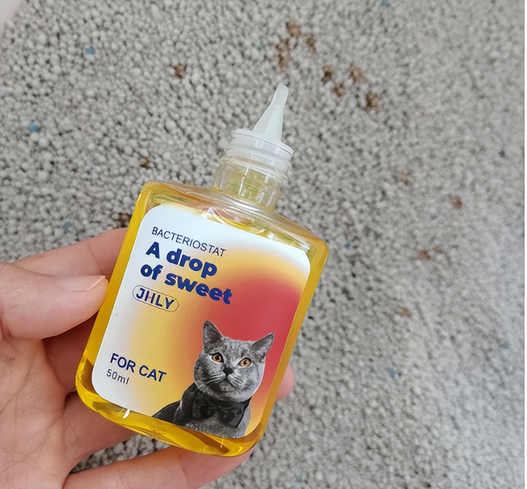 宠物怎么除臭最有效,宠物异味怎么调理