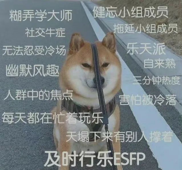 mbti测试让年轻人更难了解自己,mbti测试值得信吗