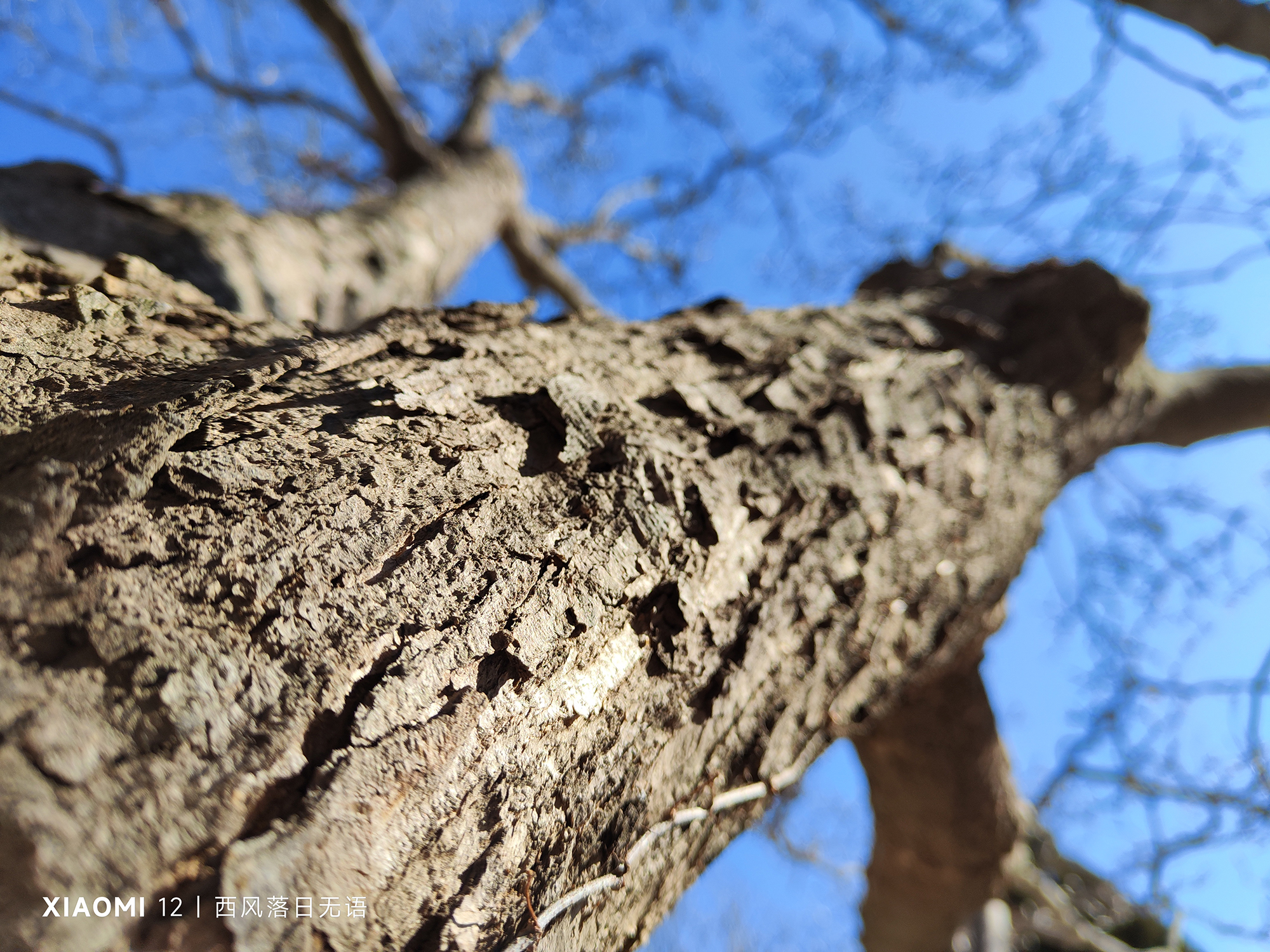 小米12还值得入手嘛,小米12还值得入手么最新