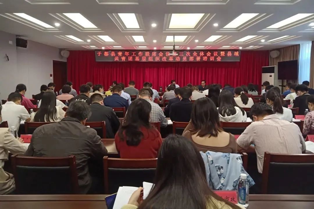 县域共青团改革的目标,县域共青团改革四项机制六化