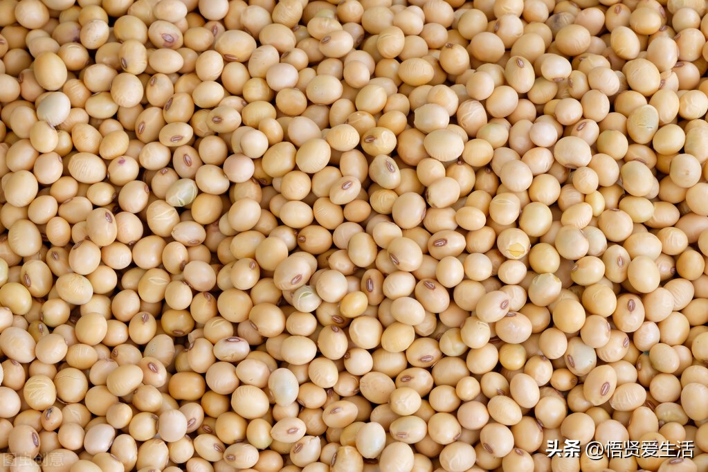 花盆里有花怎么打洞,花盆土壤里留一个洞