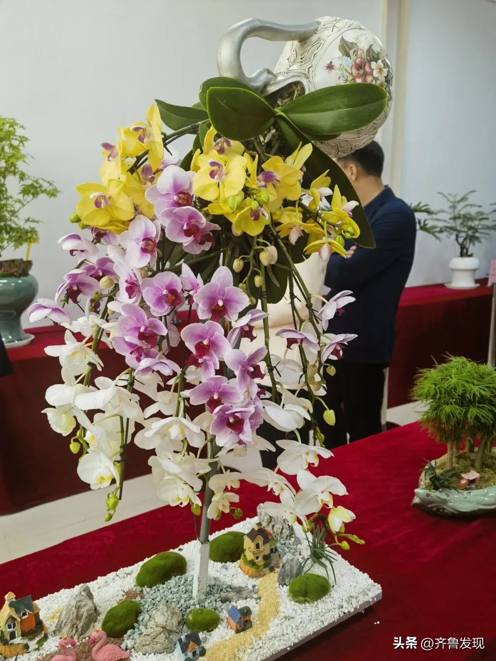 青岛枯桃花卉展2018时间,青岛花卉博览会什么时候开放