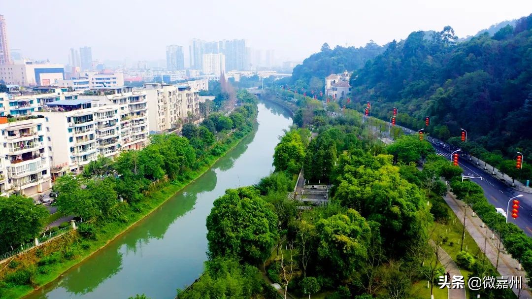 我为通江代言,我为巴中代言