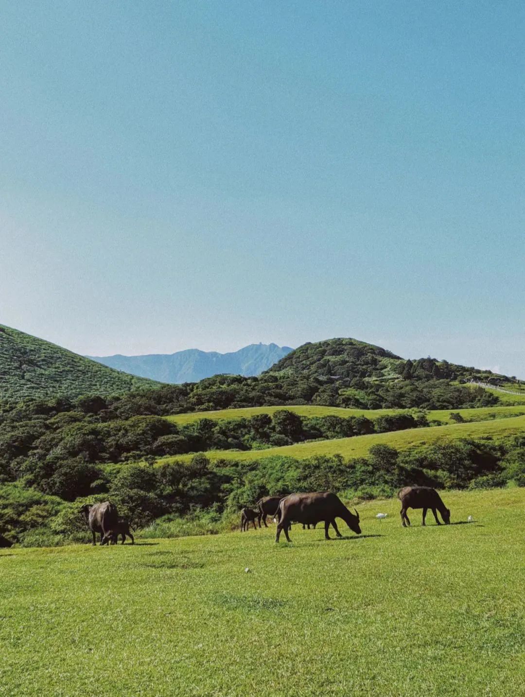 台湾地图为啥上热搜,台湾省地图热搜