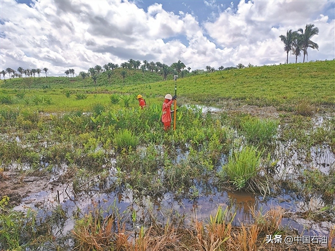 东方地球物探公司官网,东方地球物探公司西南分公司