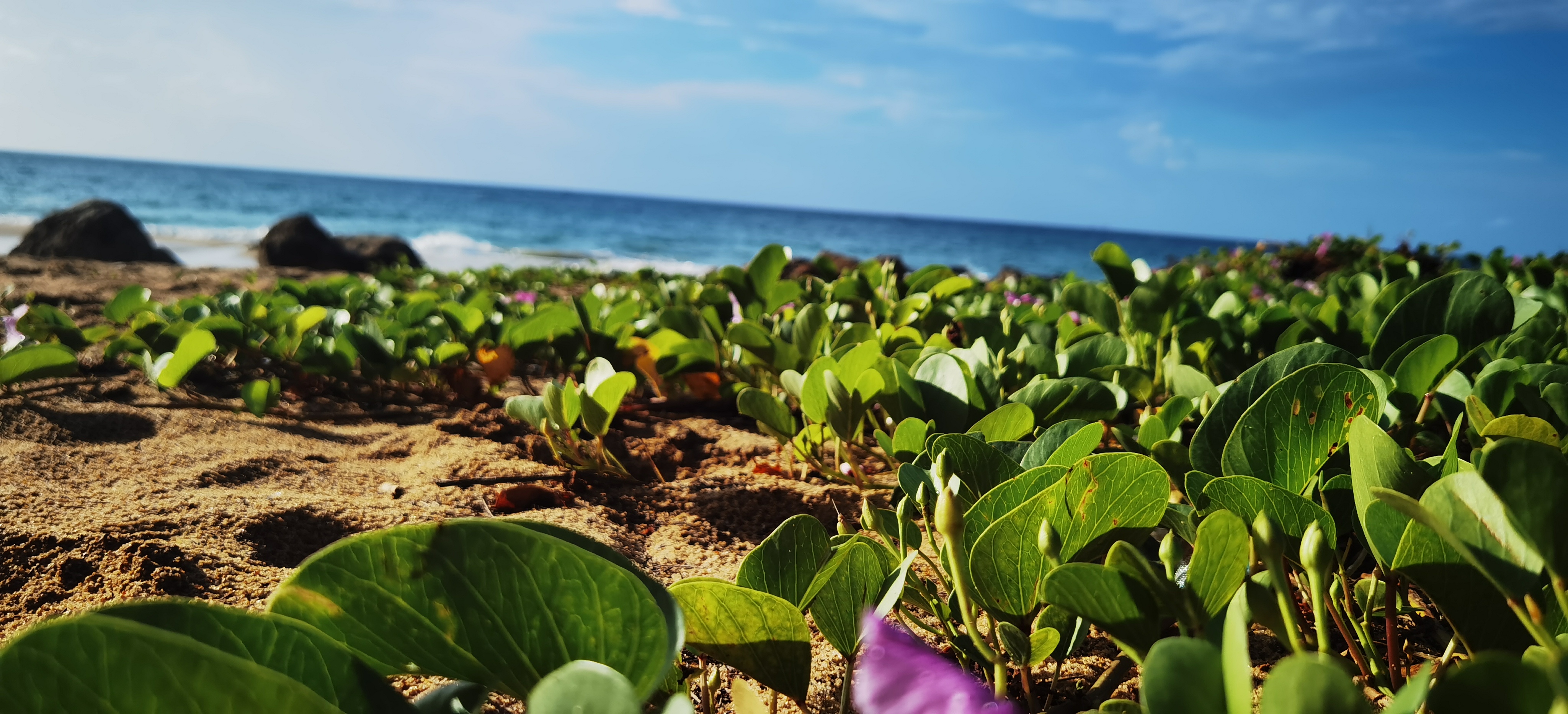 海口小孩的居住证怎么办理,外地人在海口办理居住证