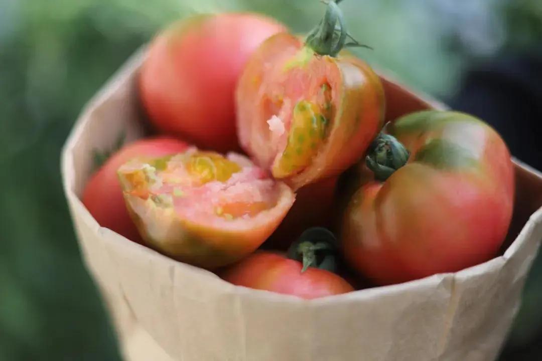 藏马山阿朵花屿攻略冬季,春节假期阿朵花屿攻略