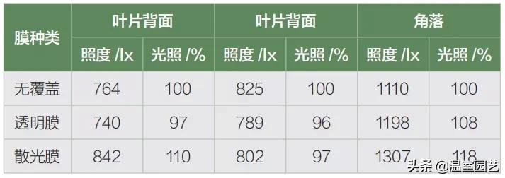 速看视频软件,速看看靠谱吗