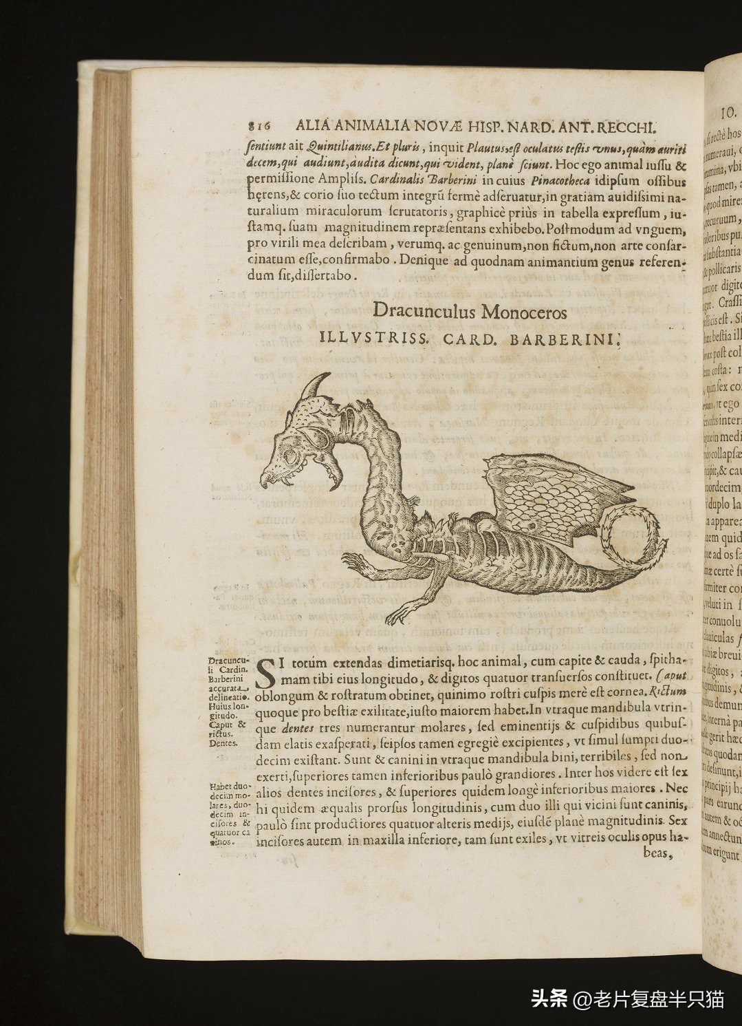 跟哥斯拉中的泰坦巨兽做一个对比,哥斯拉里面的18只泰坦巨兽排行榜