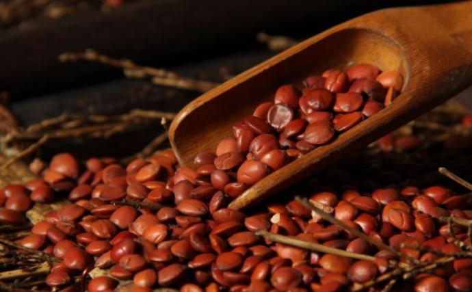 张仲景最爱的“东方睡果”:酸枣仁配熟地,专治失眠