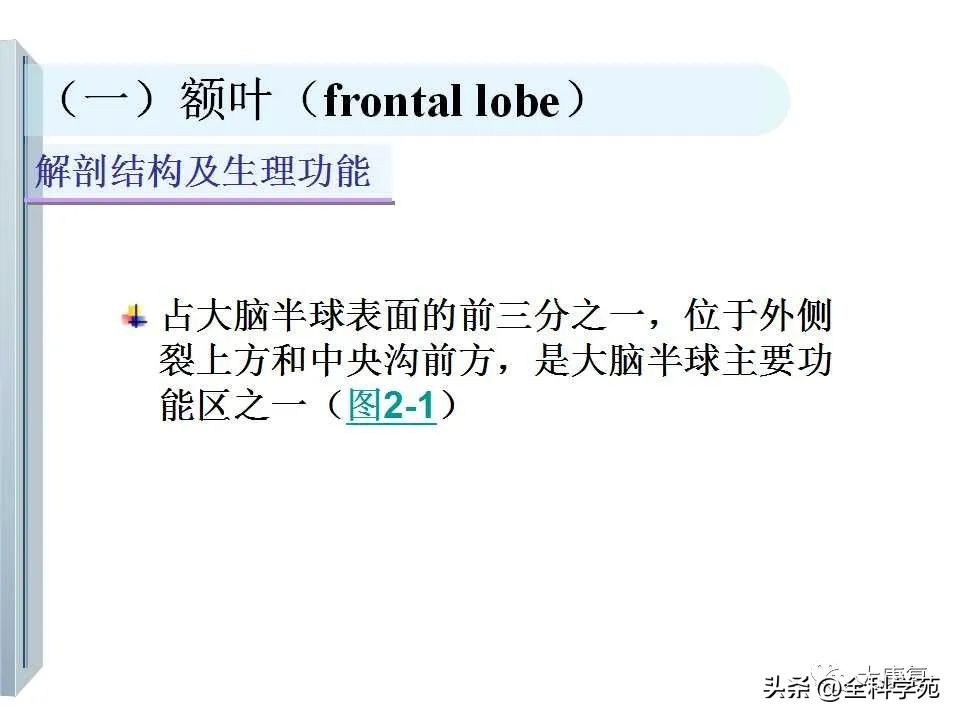 神经系统的影像与解剖定位,最全神经解剖图