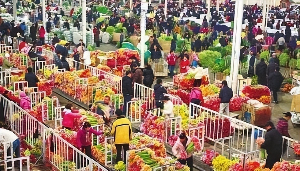 昆明人都不知道的昆明冷知识,你以为的昆明和实际上的昆明