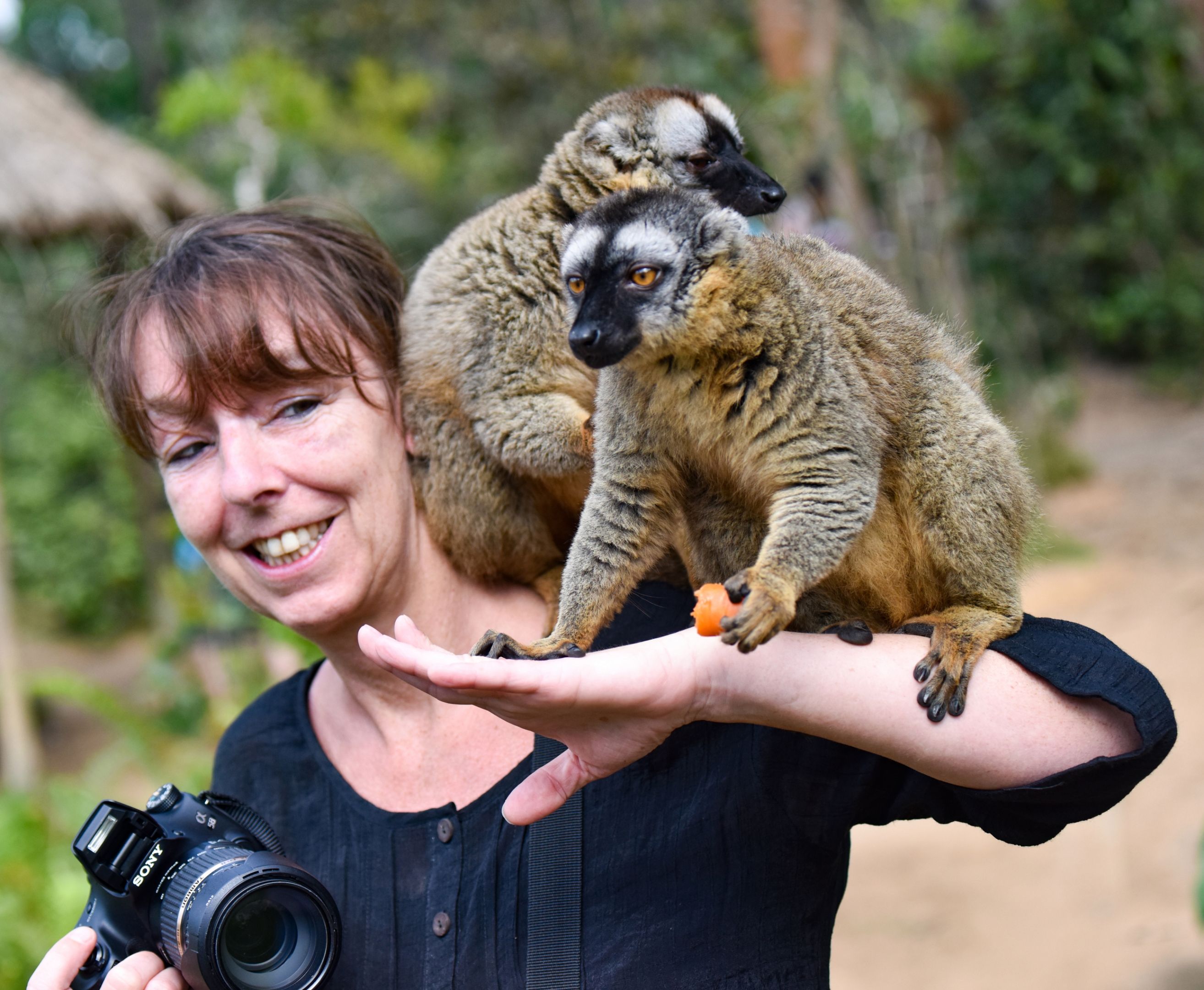 “马达加斯加”现状，带你看看真实的非洲岛国马达加斯加