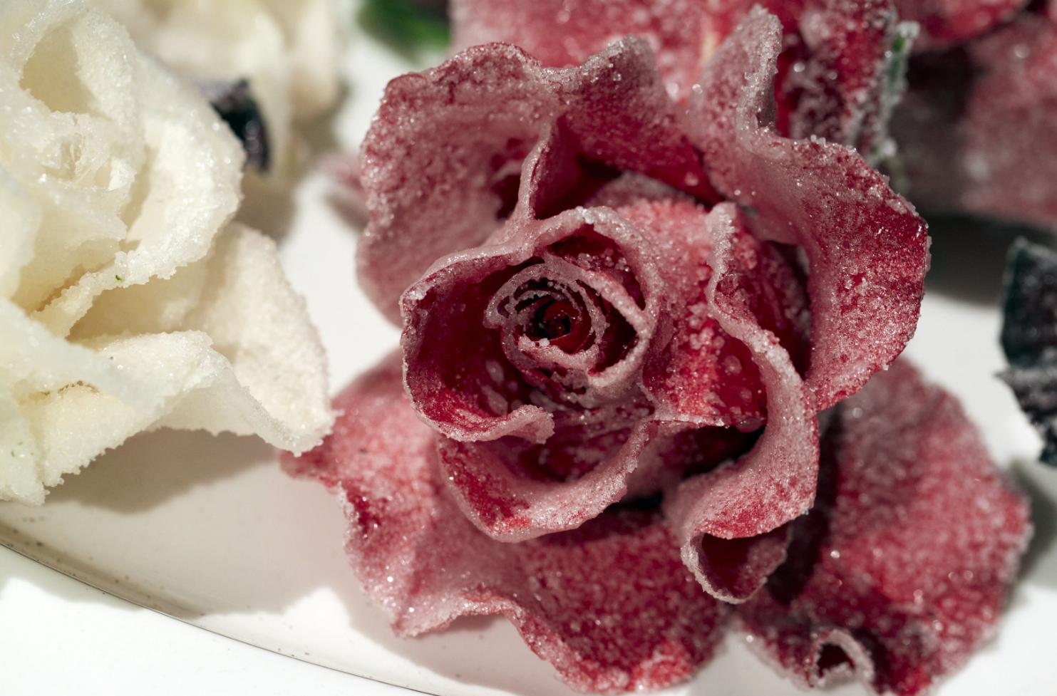 美剧斯巴达克斯第一季天天美剧,和斯巴达克斯一样类型的美剧推荐