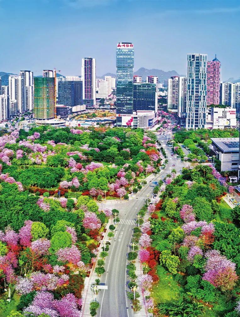 春天，我想到一座城，吃粉粉，看粉粉