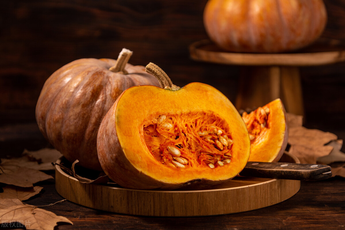 铲屎官可以吃猫草吗,铲屎官喂什么都吃