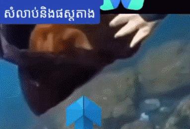 泰国女星遇害后续,泰国知名女星突然死亡