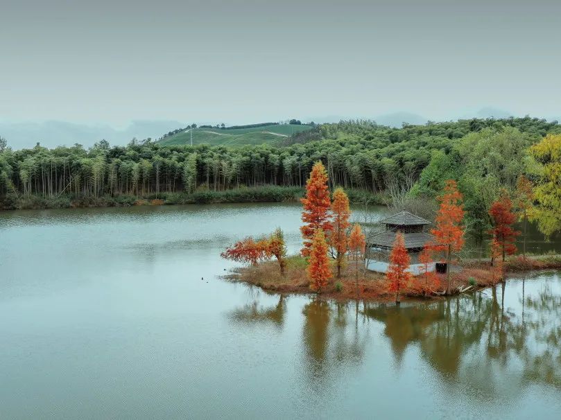 杭州西湖微信头像图片,杭州风景图片头像