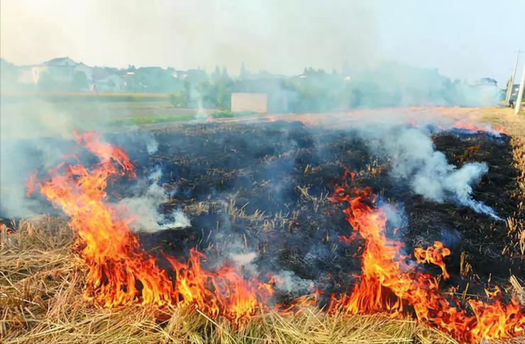 农村墙上的标语对6亿农民的影响,这些年农村哪些标语让你记忆深刻