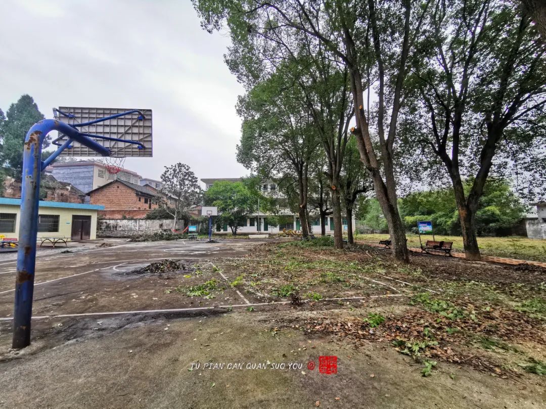 为了打村BA，湖南郴州沙坪村村民自己建了一个灯光篮球场