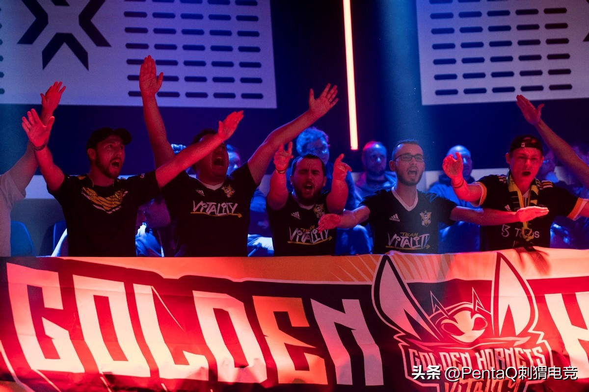 【对话海外】：VIT经理Mulgan95：当下的重点是为长期发展打基础