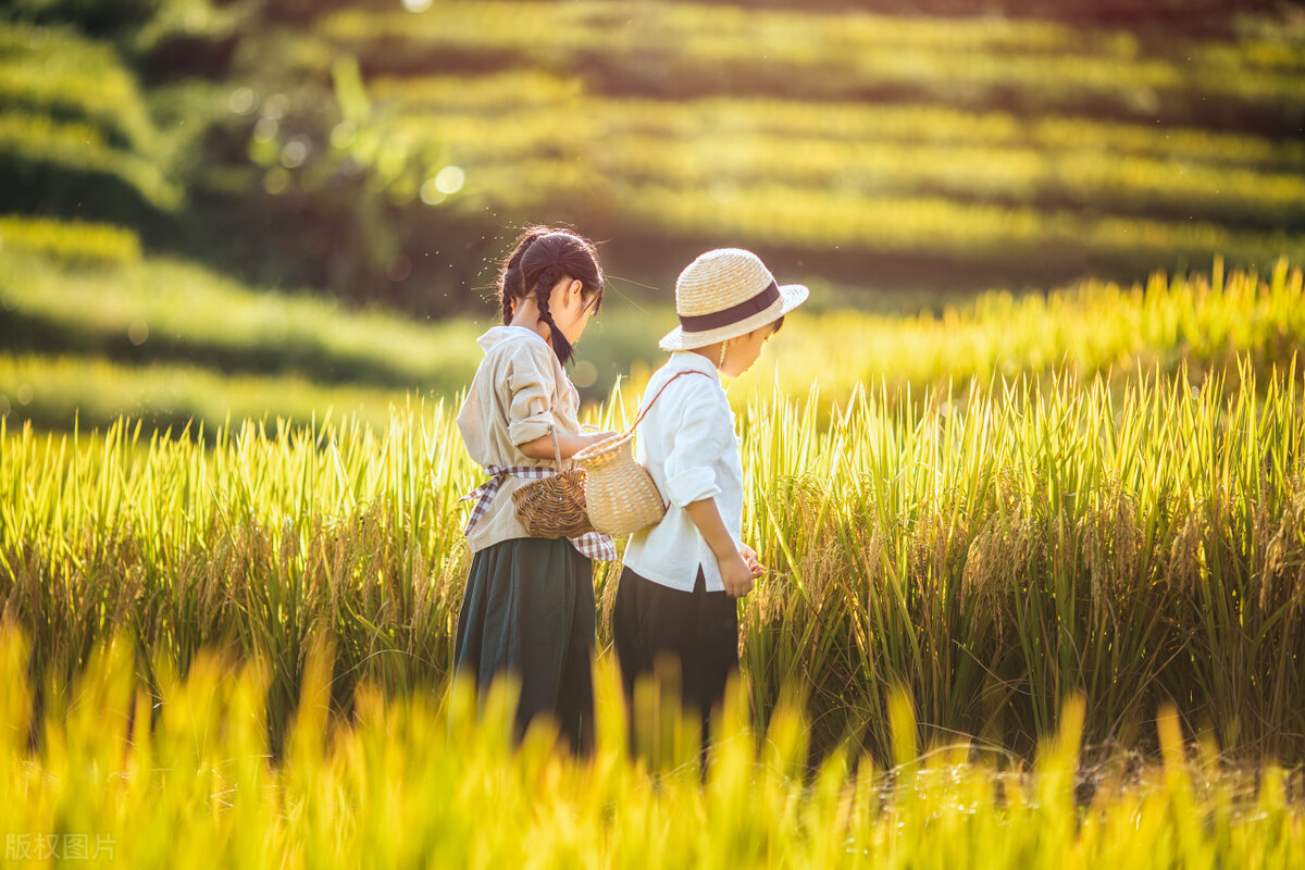 国内外最赚钱的小型农场,全国做得最好的几个精品农场