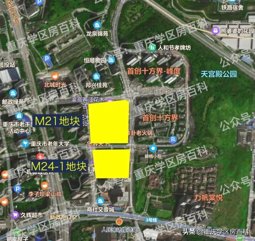 两江新区七龙珠学校,新的七龙珠分校