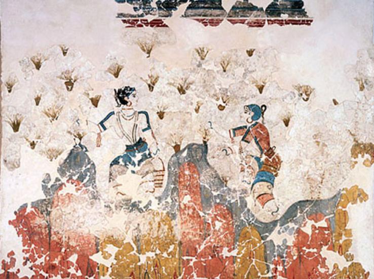 国外藏红花多少钱一只,藏红花过去便宜现在为什么贵