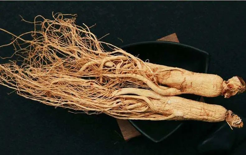 人参怎么吃治疗脾胃肾虚,人参怎么吃最补肾