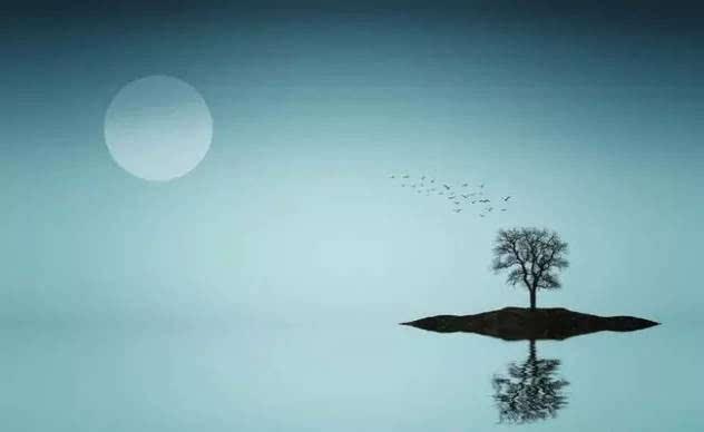 寻人不遇的经典诗句,寻隐者不遇经典诗句