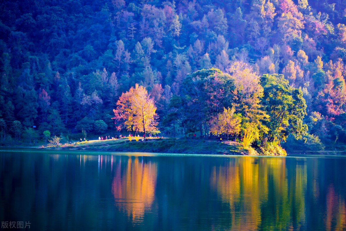 石油化工项目名单,2020年全国化工石油项目