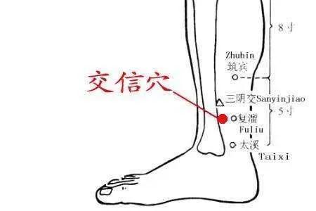 交信穴治便秘,交信穴奇效