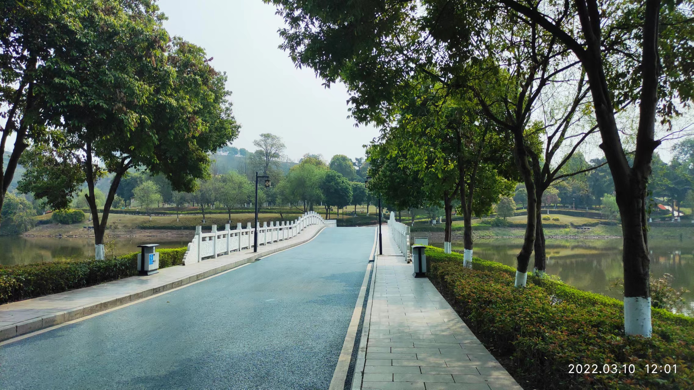 「实况专访」“蝶变窗口”—李世煜谈永川高新区城市规划发展前景