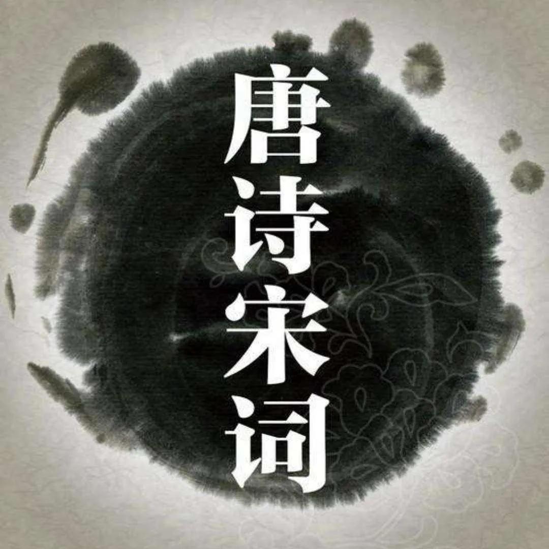 网文经典的套路,网文常用的十个爽点套路