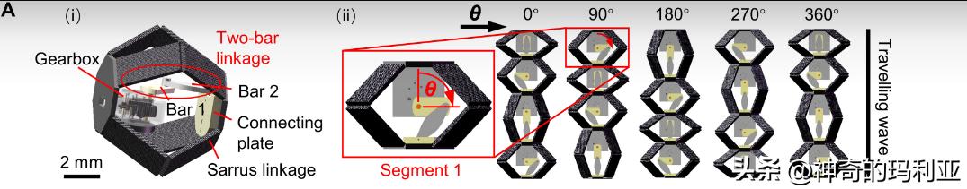 用于无线控制毫米级机器人的磁致动齿轮箱，其究竟有何作用