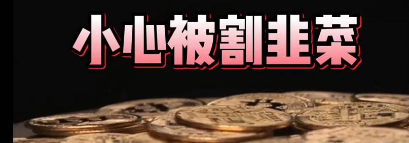 关于虚拟币的最新消息视频讲解,虚拟币最新消息解读