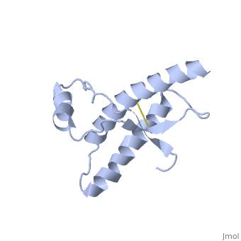 感染无药可救？烹煮杀不死的朊病毒，是上帝刻在基因的“禁令”？
